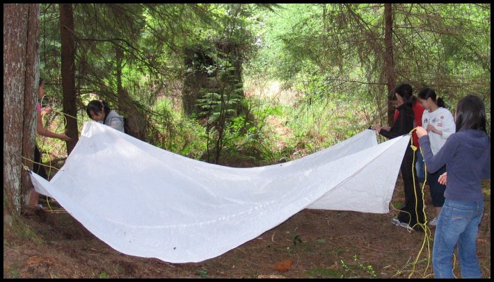 Camp2 056.jpg